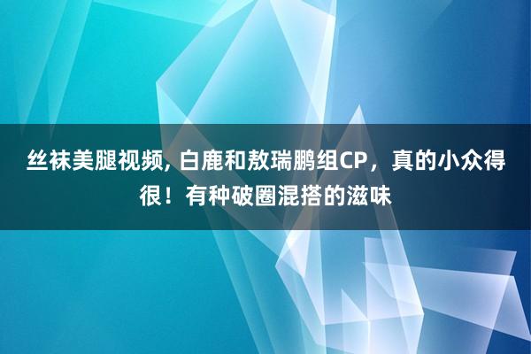 丝袜美腿视频， 白鹿和敖瑞鹏组CP，真的小众得很！有种破圈混搭的滋味