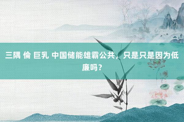 三隅 倫 巨乳 中国储能雄霸公共，只是只是因为低廉吗？