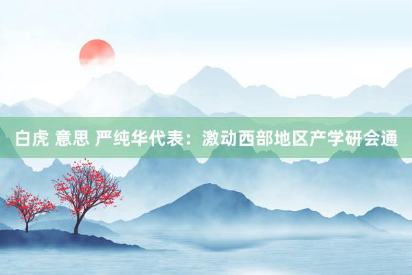 白虎 意思 严纯华代表：激动西部地区产学研会通