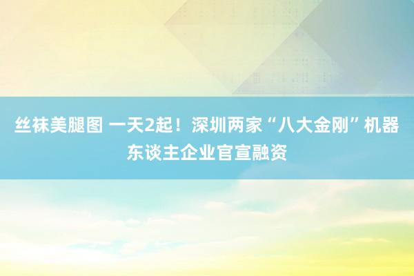 丝袜美腿图 一天2起！深圳两家“八大金刚”机器东谈主企业官宣融资