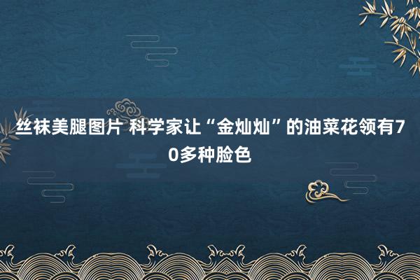 丝袜美腿图片 科学家让“金灿灿”的油菜花领有70多种脸色