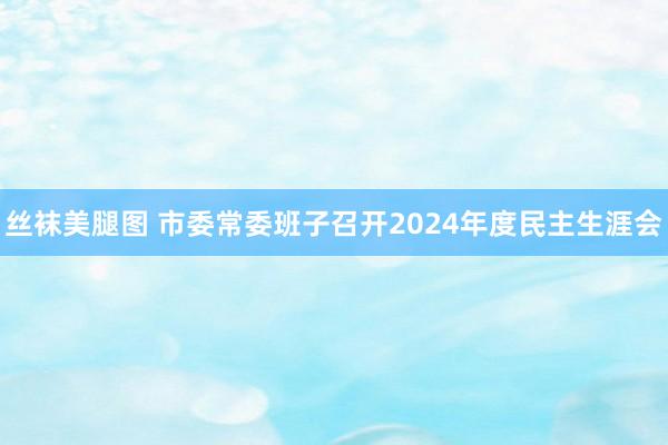 丝袜美腿图 市委常委班子召开2024年度民主生涯会