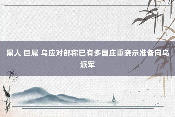 黑人 巨屌 乌应对部称已有多国庄重晓示准备向乌派军