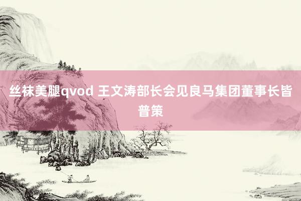 丝袜美腿qvod 王文涛部长会见良马集团董事长皆普策