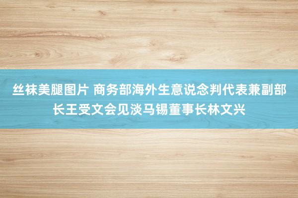 丝袜美腿图片 商务部海外生意说念判代表兼副部长王受文会见淡马锡董事长林文兴