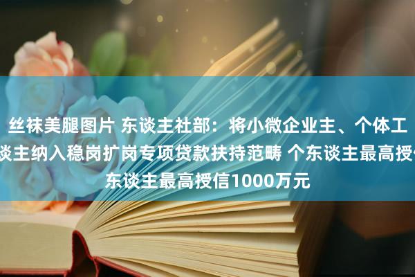 丝袜美腿图片 东谈主社部：将小微企业主、个体工商户等个东谈主纳入稳岗扩岗专项贷款扶持范畴 个东谈主最高授信1000万元