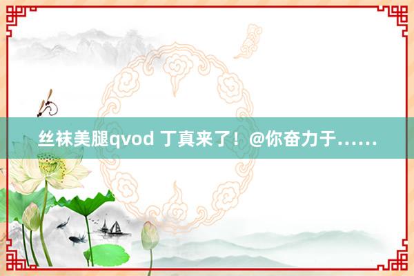 丝袜美腿qvod 丁真来了！@你奋力于……