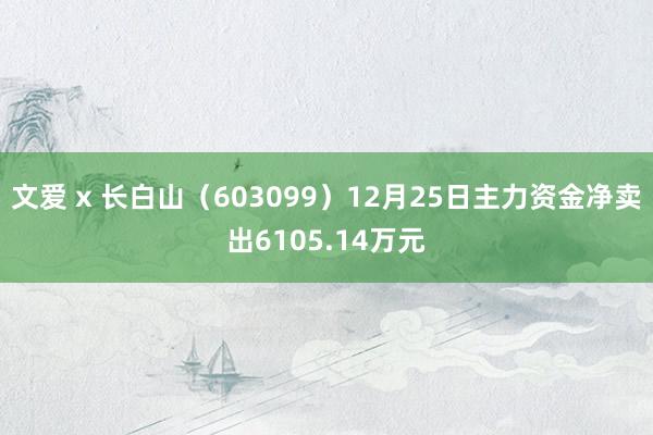 文爱 x 长白山（603099）12月25日主力资金净卖出6105.14万元