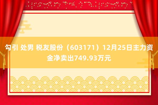 勾引 处男 税友股份（603171）12月25日主力资金净卖出749.93万元