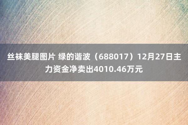 丝袜美腿图片 绿的谐波（688017）12月27日主力资金净卖出4010.46万元