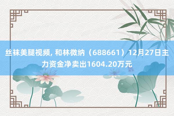 丝袜美腿视频， 和林微纳（688661）12月27日主力资金净卖出1604.20万元