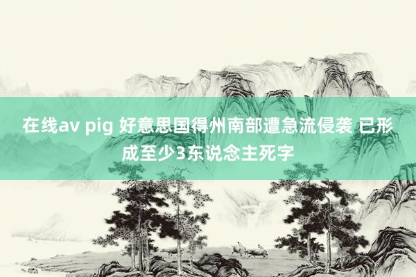 在线av pig 好意思国得州南部遭急流侵袭 已形成至少3东说念主死字