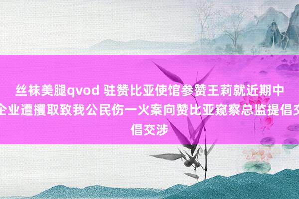 丝袜美腿qvod 驻赞比亚使馆参赞王莉就近期中资企业遭攫取致我公民伤一火案向赞比亚窥察总监提倡交涉