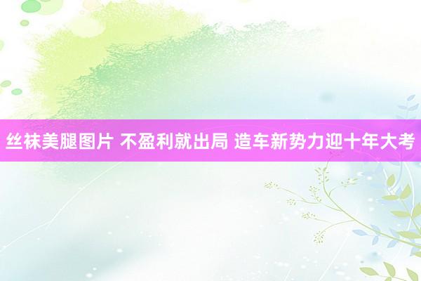 丝袜美腿图片 不盈利就出局 造车新势力迎十年大考