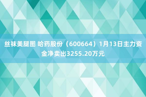 丝袜美腿图 哈药股份（600664）1月13日主力资金净卖出3255.20万元