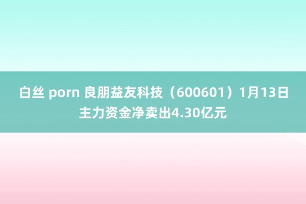 白丝 porn 良朋益友科技（600601）1月13日主力资金净卖出4.30亿元