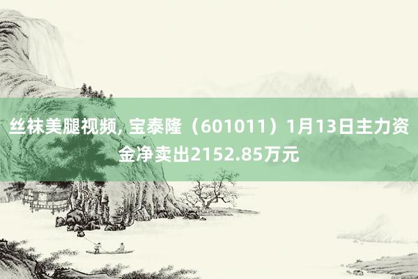 丝袜美腿视频， 宝泰隆（601011）1月13日主力资金净卖出2152.85万元
