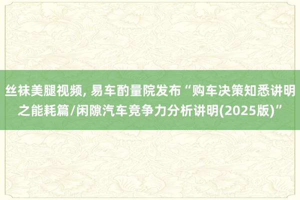 丝袜美腿视频， 易车酌量院发布“购车决策知悉讲明之能耗篇/闲隙汽车竞争力分析讲明(2025版)”