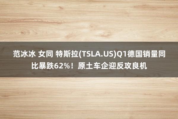 范冰冰 女同 特斯拉(TSLA.US)Q1德国销量同比暴跌62%！原土车企迎反攻良机