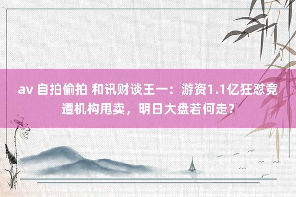av 自拍偷拍 和讯财谈王一：游资1.1亿狂怼竟遭机构甩卖，明日大盘若何走？