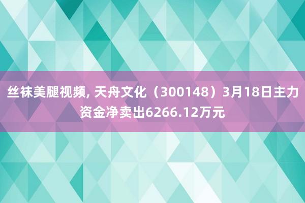 丝袜美腿视频， 天舟文化（300148）3月18日主力资金净卖出6266.12万元
