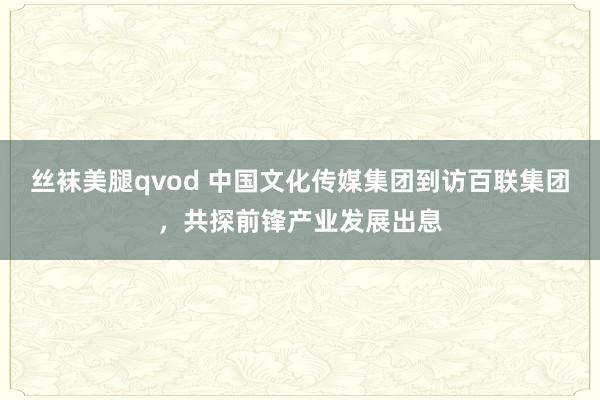 丝袜美腿qvod 中国文化传媒集团到访百联集团，共探前锋产业发展出息