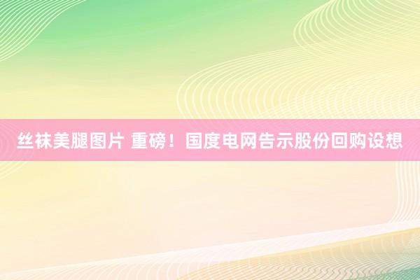 丝袜美腿图片 重磅！国度电网告示股份回购设想