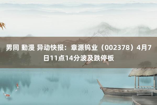 男同 動漫 异动快报：章源钨业（002378）4月7日11点14分波及跌停板