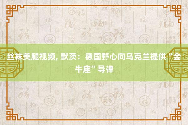 丝袜美腿视频， 默茨：德国野心向乌克兰提供“金牛座”导弹