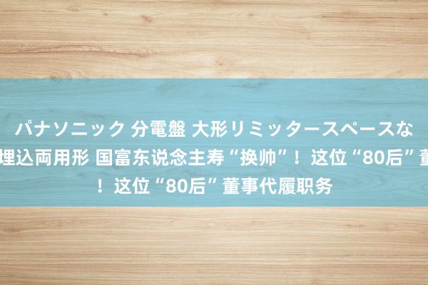 パナソニック 分電盤 大形リミッタースペースなし 露出・半埋込両用形 国富东说念主寿“换帅”！这位“80后”董事代履职务