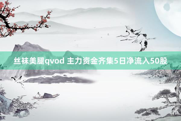 丝袜美腿qvod 主力资金齐集5日净流入50股